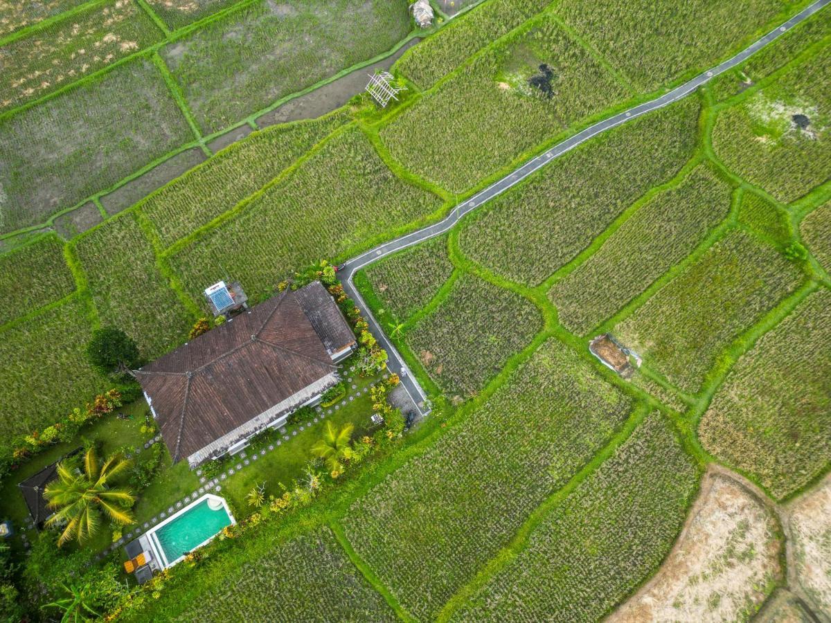 Buddha Homestay Ubud Eksteriør bilde