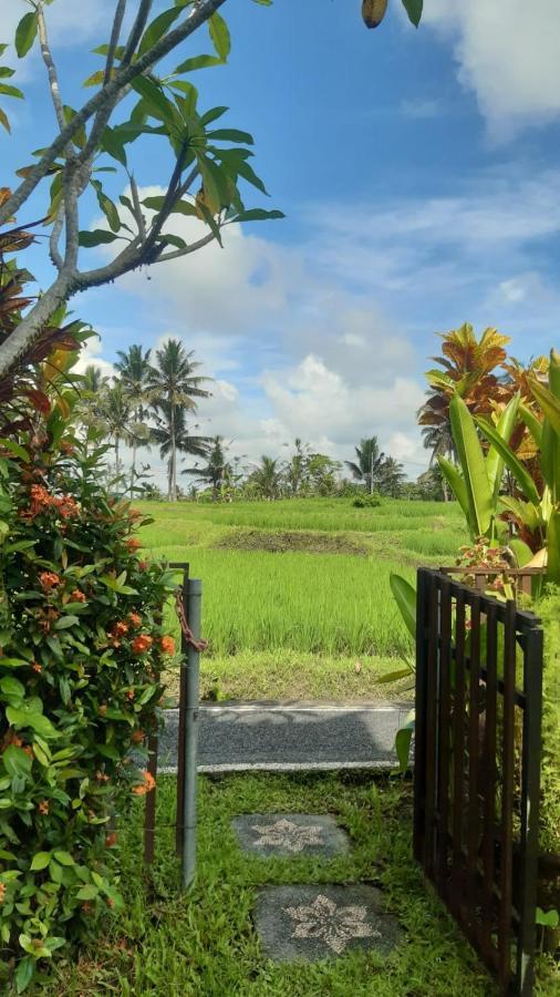 Buddha Homestay Ubud Eksteriør bilde